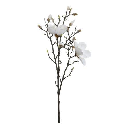 Fleur Magnolia