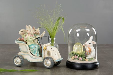 Hare Familj Åker Bil Poly