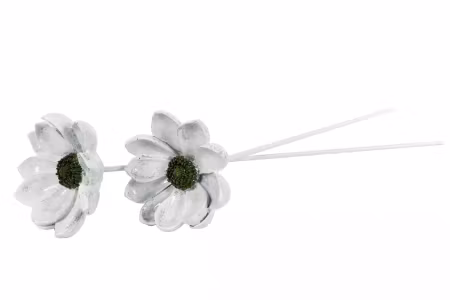 Blomma Fleur Pinne Grön Poly