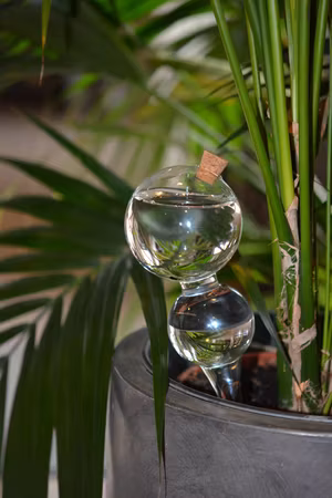 Bevattningsglas Bubbla