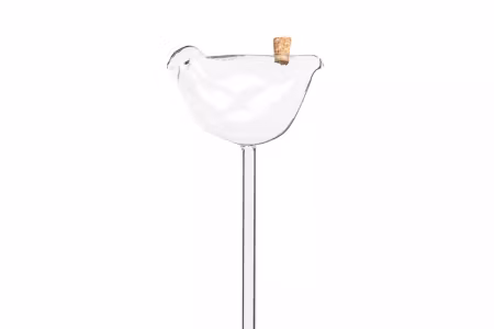 Bevattningsglas Fågel