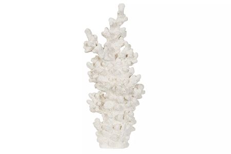 Korall Poly Vit