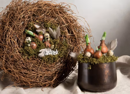 Blomsterlök Hänge Natur Poly