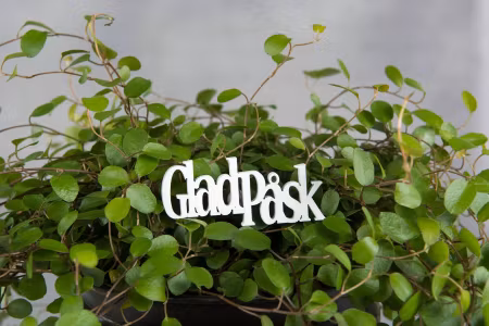 Glad Påsk Stick Vit