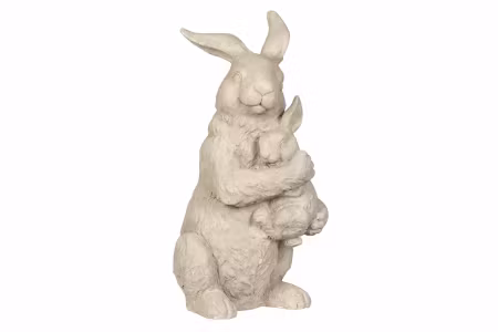 Hare kramas Poly