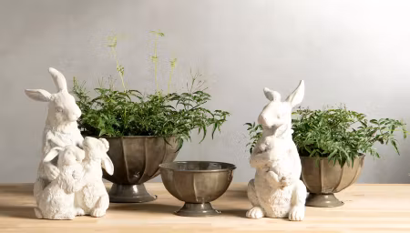 Hare kramas Poly