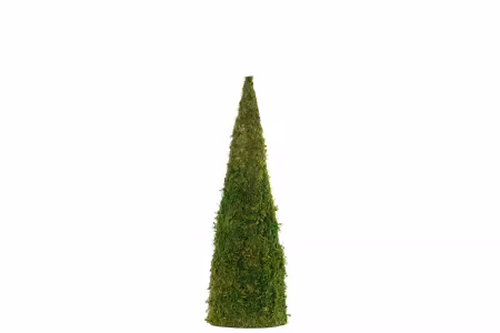 Mosskon