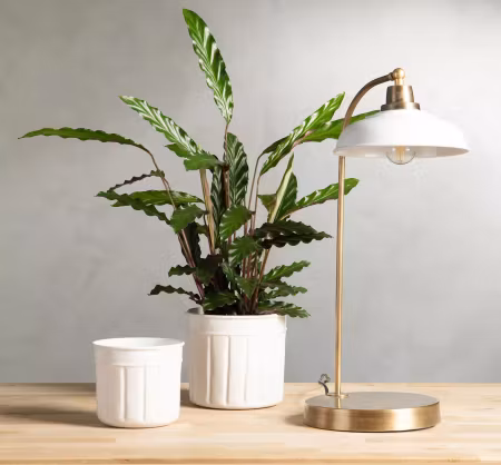 Bordslampa Noa Emalj Shell