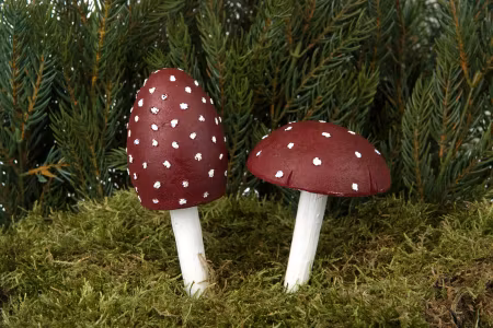 Flugsvamp Mix Poly