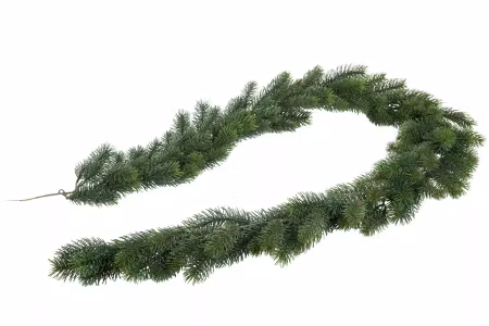 Girlang Gran Mörkgrön