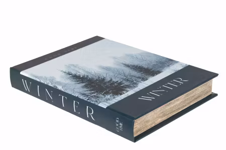 Boklåda Vinter