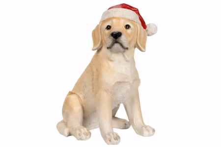 Labrador Med Tomteluva Poly