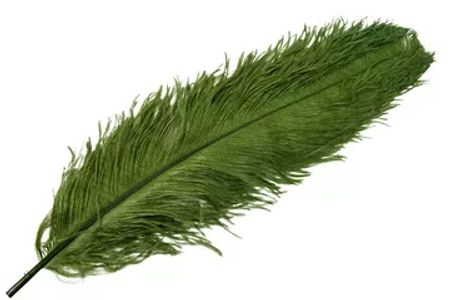 Strutsfjäder Grön