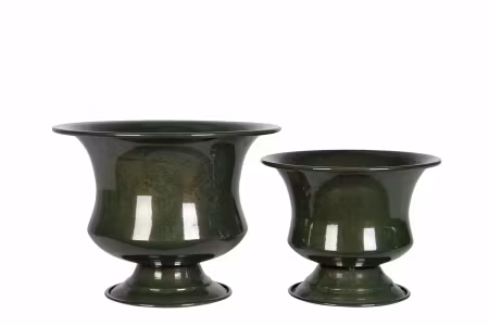 Pokal Luna Kale