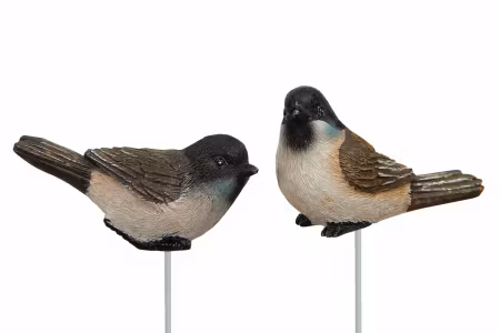 Fågel Stick Blåmes Poly