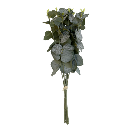 Fleur Eukalyptus bukett