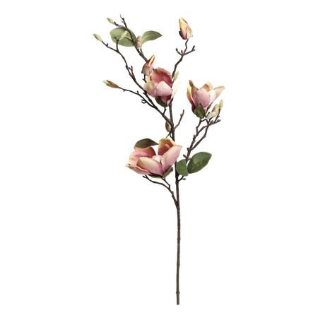 Fleur Magnolia