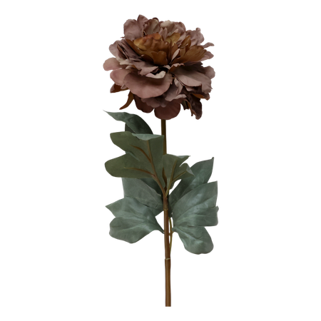 Fleur Pion
