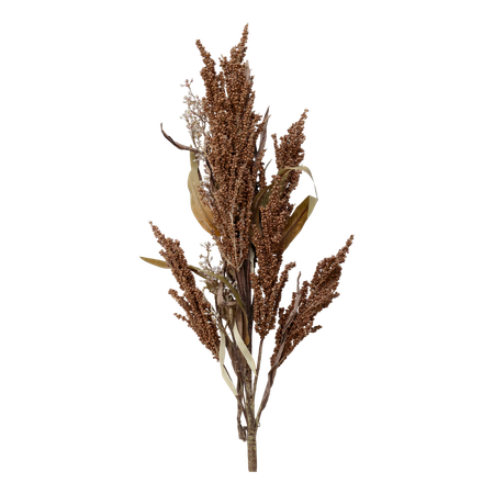 Fleur Gren m frökapsel Fleur Gren m frökapsel