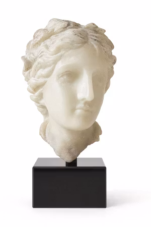 Young Venus bust stone base