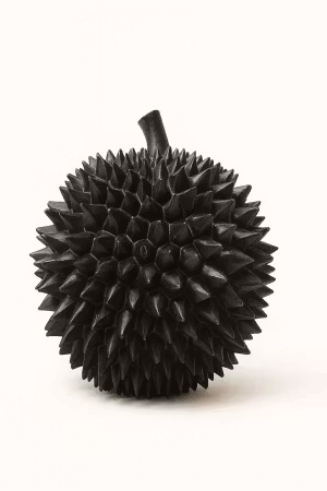 13″ Durian Matt black