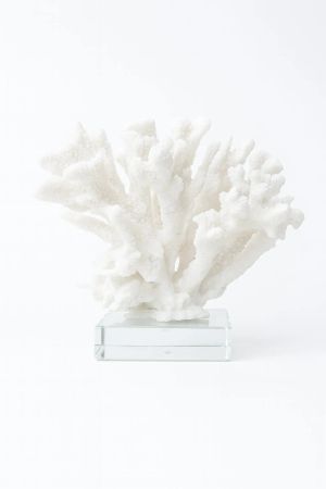 Coral w glass base