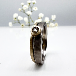 Misty Forest "Source" Ring - Silver