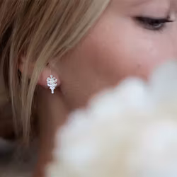 Örhängen Tiny Oak Leaf - Silver