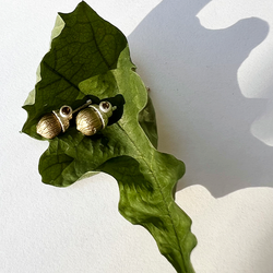 Örhängen Acorn - Silver