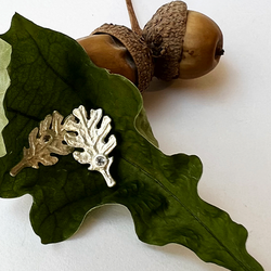 Örhängen Tiny Oak Leaf - Silver