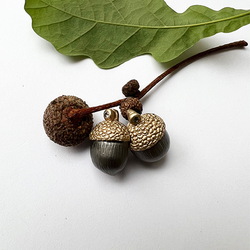 Örhängen Fruit Of The Oak - Brons/Guld