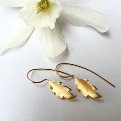 Örhängen Tiny Leaf - Guld