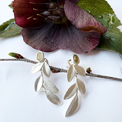 Örhängen Wild Olive - Silver