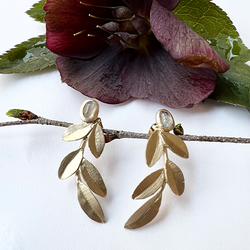 Örhängen Wild Olive - Brons/Guld