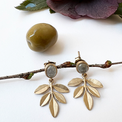 Örhängen Olive Twig - Brons/Guld