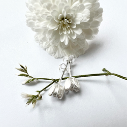 Örhängen Tiny Tulip - Silver