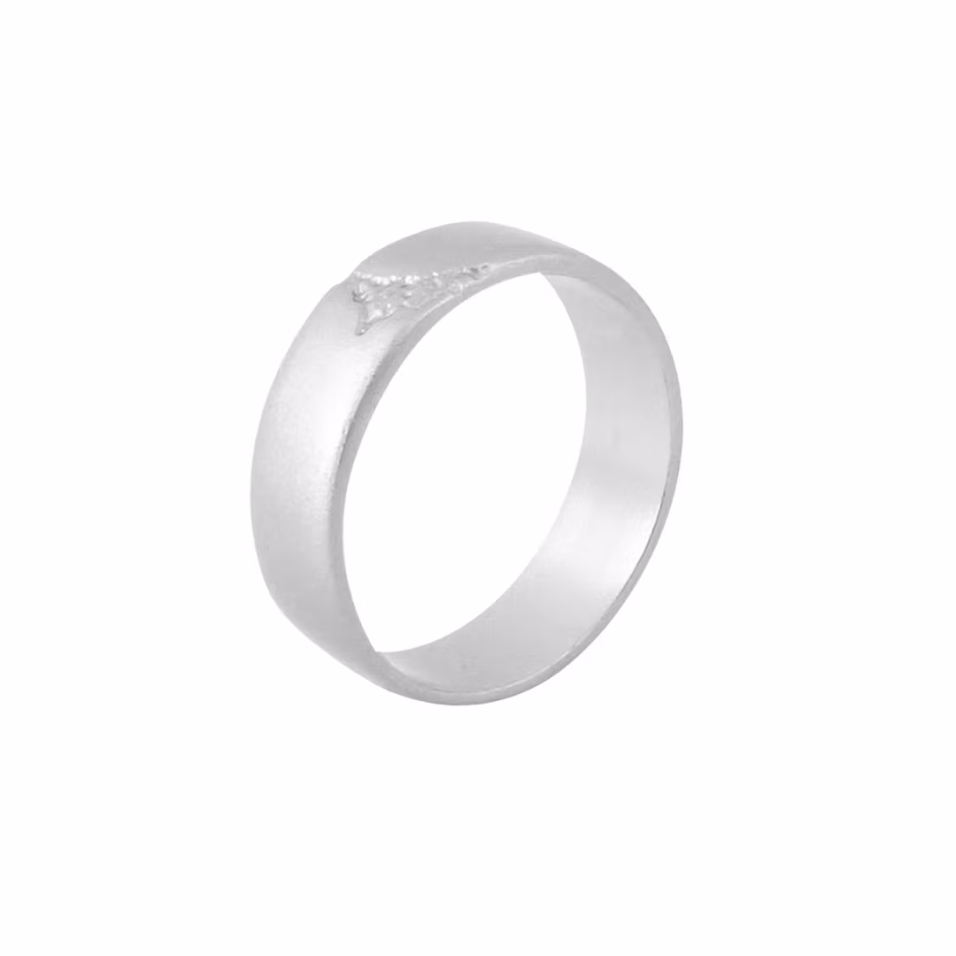Misty Forest Mens World Ring - 18K Natural White Gold