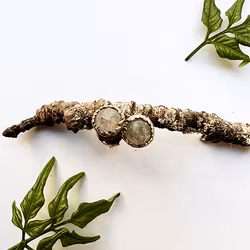 Earrings Silver Frost Fern - Bronze/Gold