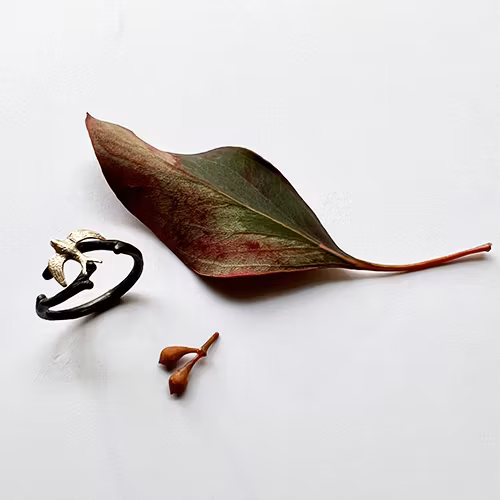 Ring Harmony Swallow - Brons/Guld