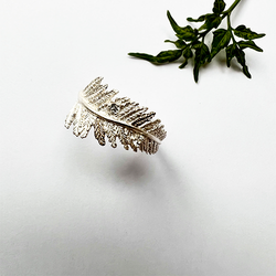 Ring Cinnamon Fern - Silver