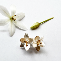 Örhängen Lotus - Silver