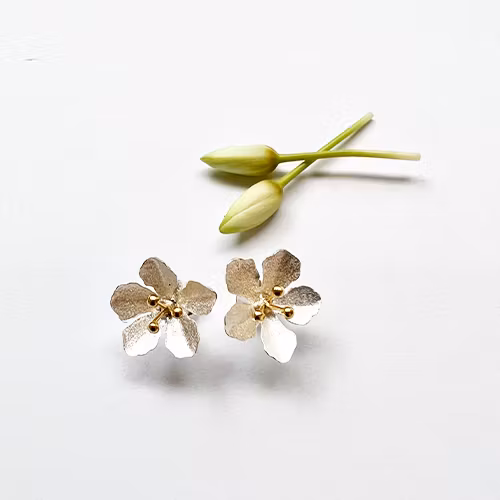 Earrings Spring Star - Silver/Gold