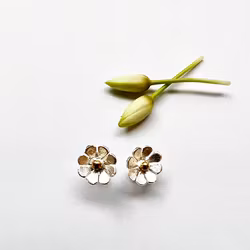 Earrings Petite Rosenskära - Silver/Gold