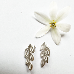 Örhängen Petite Leaves - Silver