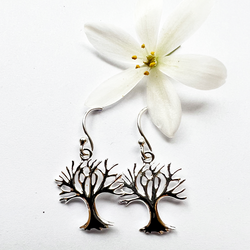 Örhängen Silvertree of Life Blank - Silver