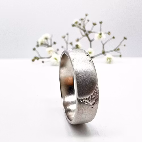 Misty Forest Mens World Ring - 18K Natural White Gold