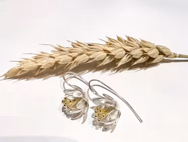 Örhängen Akleja - Silver/Guld