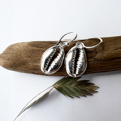 Örhängen Petite Shell - Silver