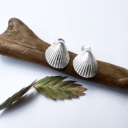 Earrings Seashell - Silver