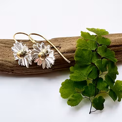 Örhängen Beloved Daisies - Silver/Guld